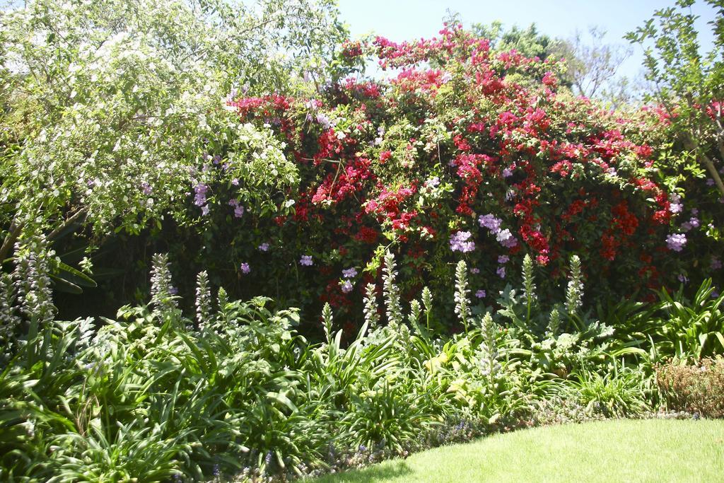 Melville Manor Guest House 约翰内斯堡 外观 照片