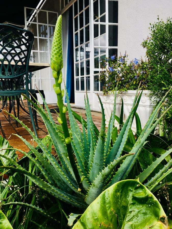 Melville Manor Guest House 约翰内斯堡 外观 照片