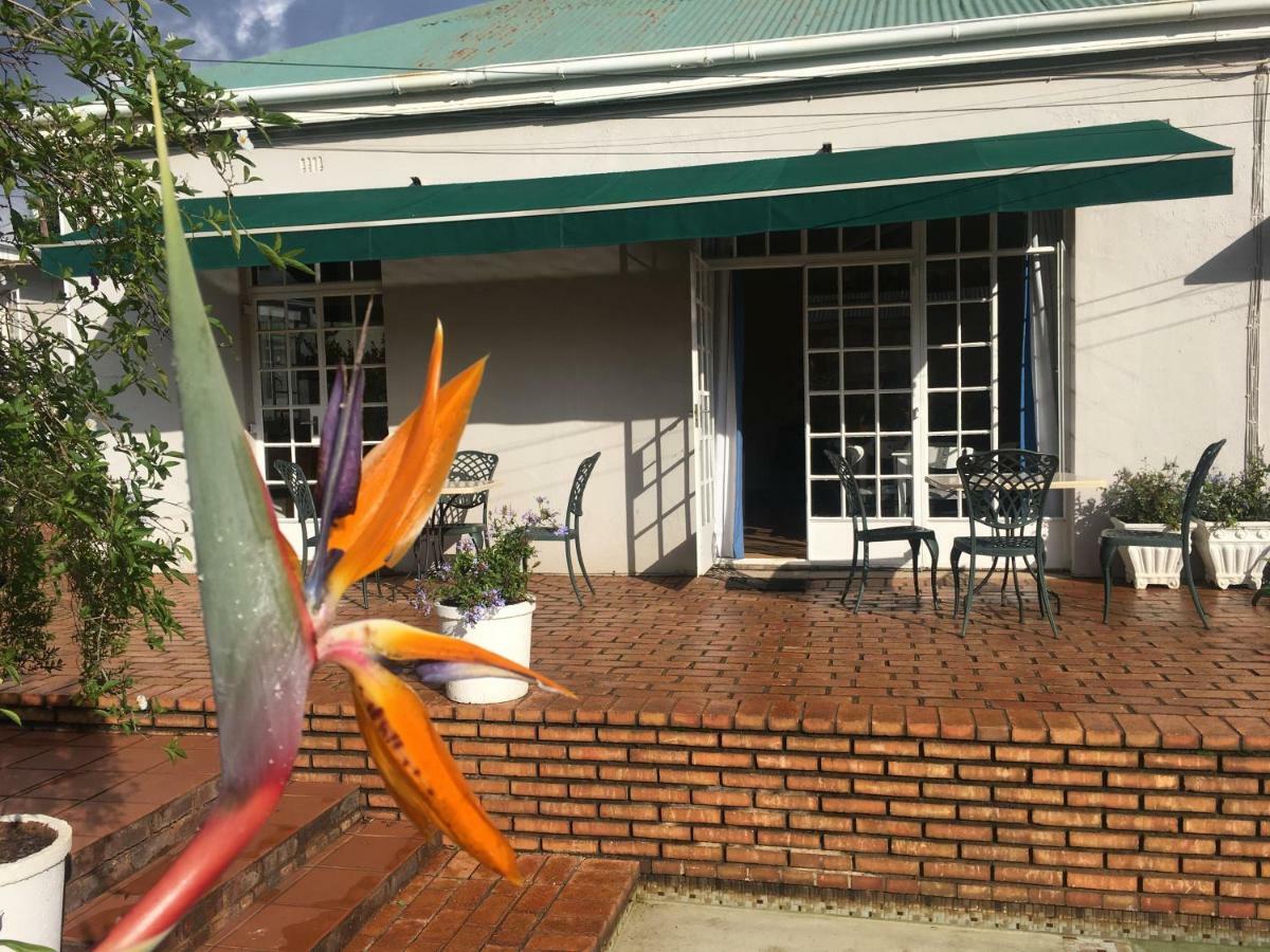 Melville Manor Guest House 约翰内斯堡 外观 照片